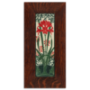 4x12 Amaryllis - Red